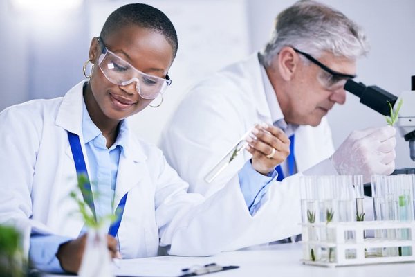 Les 5 jeux de puzzle les plus innovants de l'année